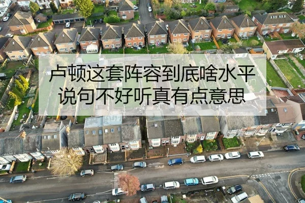 lu-dun-zhe-tao-zhen-rong-dao-di-sha-shui-ping-shuo-ju-bu-hao-ting-zhen-you-dian-yi-si-2-942.jpg