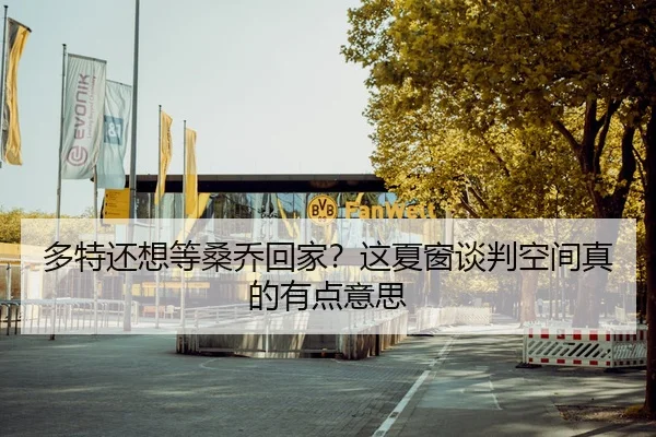 多特还想等桑乔回家？这夏窗谈判空间真的有点意思
