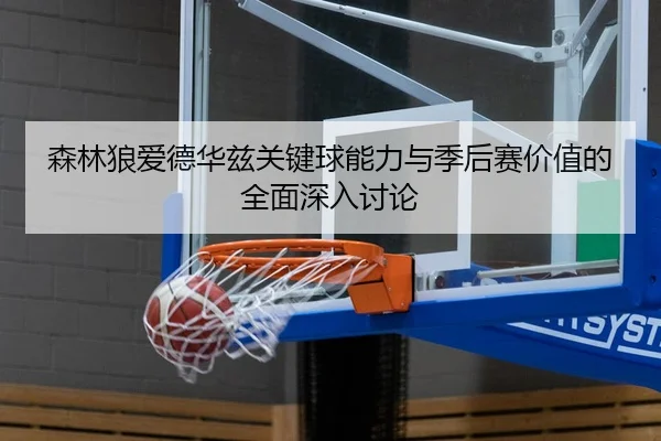 森林狼爱德华兹关键球能力与季后赛价值的全面深入讨论