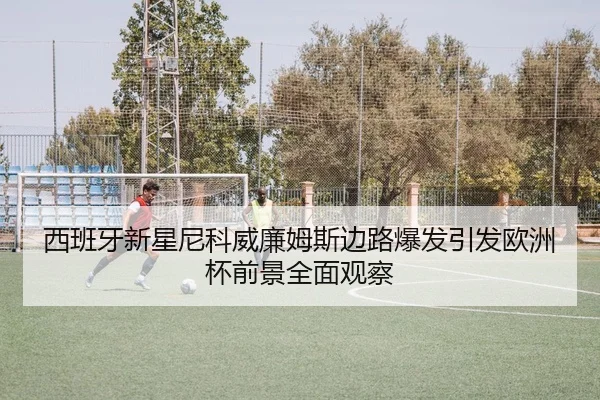 西班牙新星尼科威廉姆斯边路爆发引发欧洲杯前景全面观察