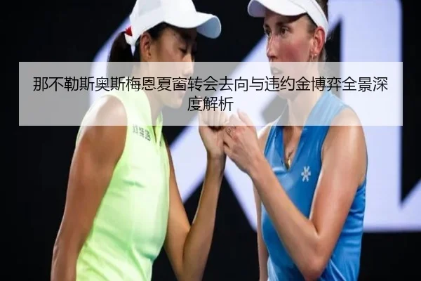 那不勒斯奥斯梅恩夏窗转会去向与违约金博弈全景深度解析