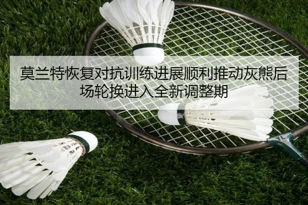 img_1783671679004_274_1_649.jpg